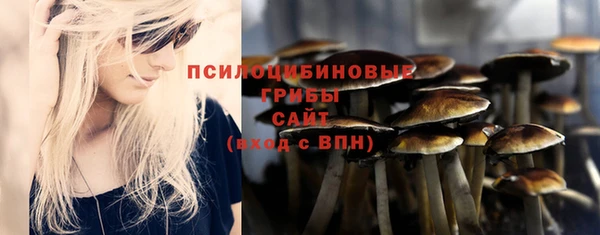 стаф Няндома