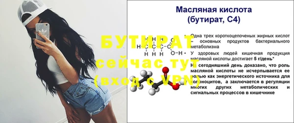 твердый Новодвинск