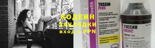 стаф Няндома