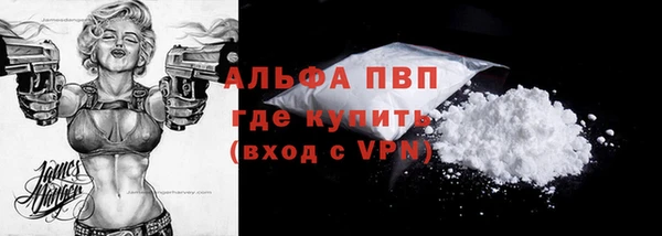 мдпв Новозыбков