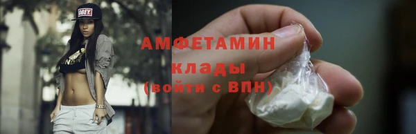 мдпв Новозыбков