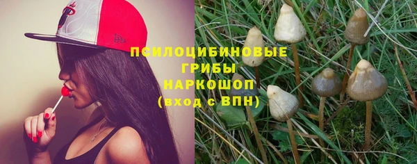 твердый Новодвинск