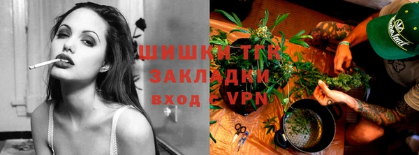 твердый Новодвинск