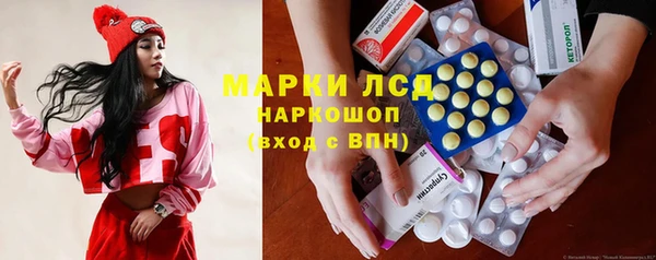 твердый Новодвинск