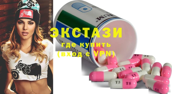 твердый Новодвинск